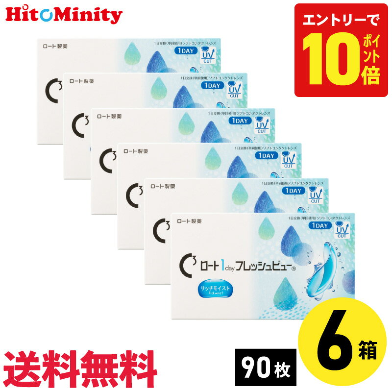 【7/20限定！ポイント10倍 ※要エントリー】【6箱】ロート ワンデーフレッシュビューリッチモイスト 1箱 90枚入り 左右3箱ずつ 1day 近視用 コンタクトレンズ