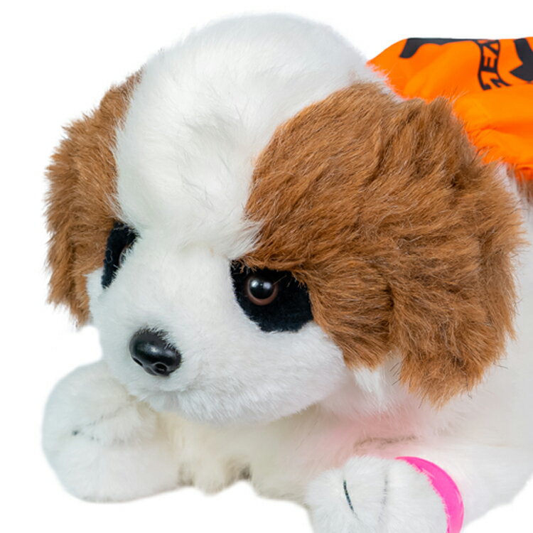 お名前刺繍　手鞠　赤パール　金文字　置きパーツ付き　ちりめん細工　名入れオーダー　名入れ　七五三　お七夜　お食い初め　桃の節句　端午の節句　初節句　袴ロンパース