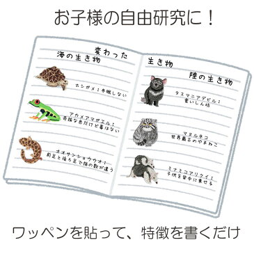 プペ刺繍ワッペン(レッサーパンダ)3枚入り 手作り ハンドメイド ワンポイント アップリケ アイロン接着 diy 動物 自由研究ネタ