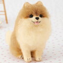 アクレーヌで作るポメラニアン 手作りキット フェルト手芸 犬 ぬいぐるみ 自由研究 ウェルカムドール ハンドメイド いぬ マスコット