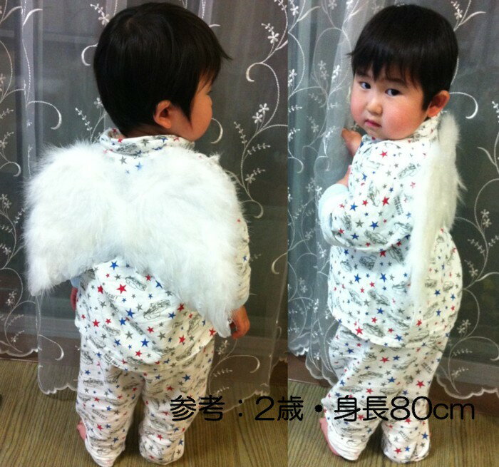 2歳の男の子がつけた羽根のイメージ