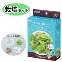 はじめての家庭菜園に ベビーリーフ 栽培キット 春に種まき お家で楽しく育てよう 幼葉 収穫 発芽 食育 自由研究 自宅 初心者 本格栽培 野菜作り 土いじり ...