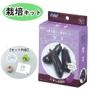 はじめての家庭菜園に なす 栽培キット 春に種まき お家で楽しく育てよう ナス 茄子 収穫 発芽 食育 自由研究 自宅 初心者 本格栽培 野菜作り 土いじり 自...