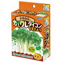 カイワレダイコン 水耕栽培キット