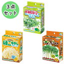 水耕栽培キット 3点セット ブロッコリースプラウト 緑豆もやし カイワレダイコン 種