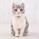 本物そっくりなリアル猫 サバトラ 手作りキット 出来上がりサイズ16cm 羊毛フェルト手芸 ねこ ぬいぐるみ 植毛 レッスンキット 鯖虎 フェルトマスコット 手...