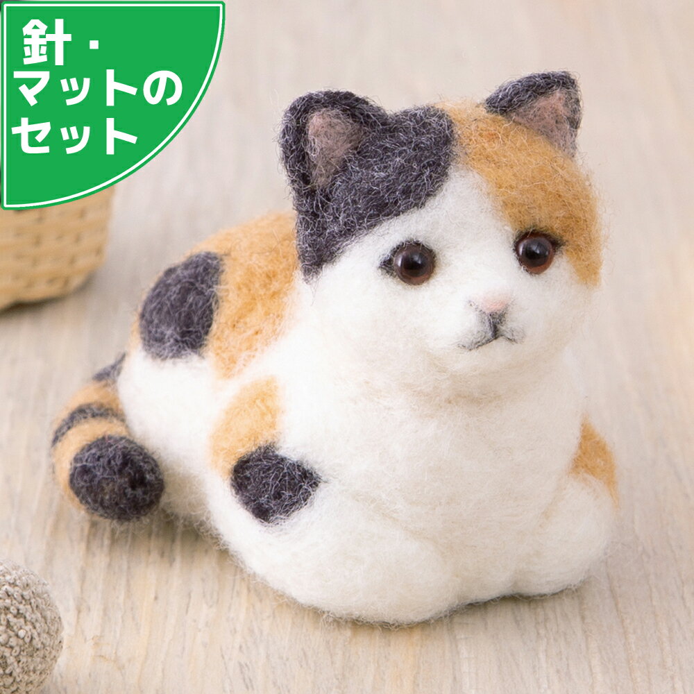 アクレーヌスターターセット付き �