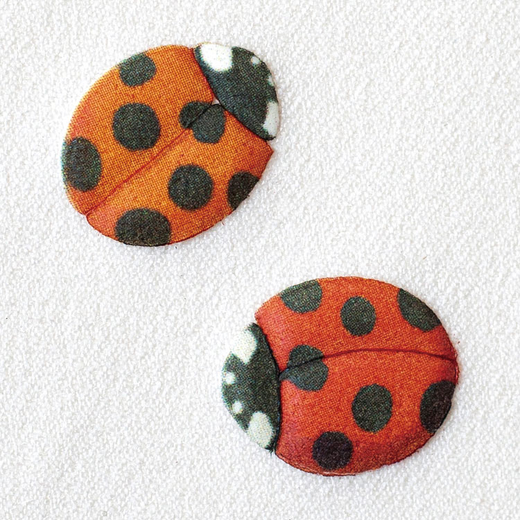 ふくらむ不思議なワッペン テントウムシ 4匹 3枚セット アイロン接着 てんとう虫 ワンポイント 昆虫 自由研究 手芸 工作