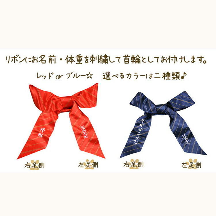 体重ドッグ トイプードル 1体 リボンに刺繍入り 完成品 ウェイトドール 犬 ぬいぐるみ 結婚式 親ギフト 出産祝い 誕生日プレゼント 1万日記念日