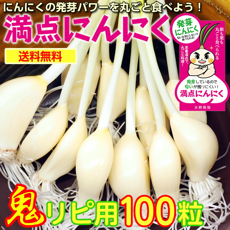 10月からは常温便 栄養満点！満点にんにく100粒 たっぷり 発芽にんにく スプラウトにんにく 100本オーバー！水耕栽培 にんにく素揚げ アヒージョ 丸ごと ニンニクの天ぷら にんにく料理 ガーリック におわない パワーフード 滋養