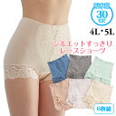 ハリコ犬 シルエットすっきりレースショーツ 6枚組 4L/5L 吸水量目安30ccまで 婦人下着 レディース 尿モレ 軽失禁パンツ