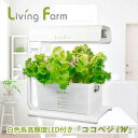 【送料無料】リビングファーム特許 水耕栽培キット 高輝度LED装着 リーフレタスタネ付き 水耕栽培器ココベジi 家庭菜園 レタス ハーブ バジル 室内栽培キット...