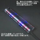 【植栽用LED】リビングファームオリジナル 植物栽培専用高輝度LED4000 赤色LED6個 青色LED2個 白LED11個 野菜ハーブに最適光バランス ビタミン ポリフェノール 水耕栽培用 多肉 室内栽培