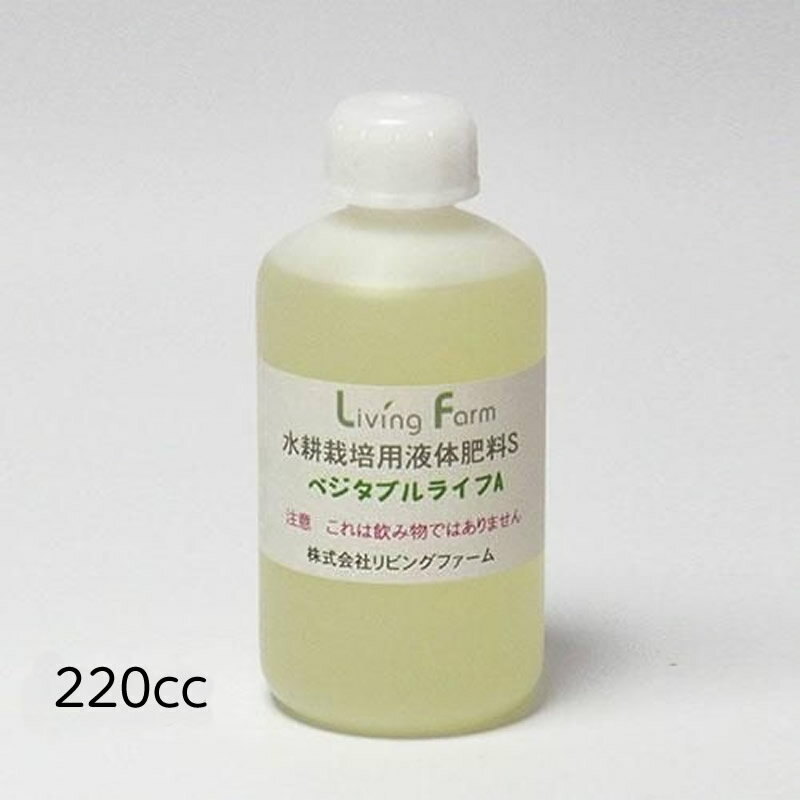 �ڱ��������ۿ�̺������� �������� S/L �٥����֥�A ��� �ϡ��� ���ǥ��֥�ե� ��ӥ󥰥ե�����