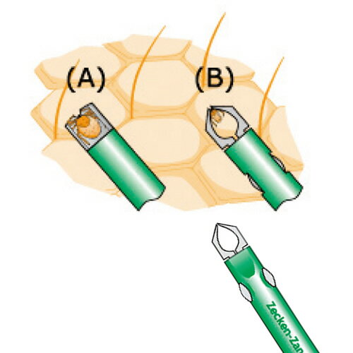 ひと、モノショップ。のマダニ除去器具 ドクターシック ティックツウィーザー ウルトラ サイズ：直径15×109mm 品番：TU-011 ドイツ製 ペット アウトドア キャンプ マダニ対策グッズ｜アングル2