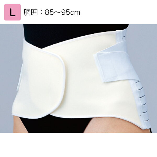 日本シグマックスマックスベルトR2L品番:321203(胴囲):85〜95cm腰部サポーター腰痛ベルト腰用サポーター腰部固定帯