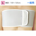 日本シグマックス 胸部固定帯 リブバンド 一般用 規格:L 適用範囲(胸囲):100〜120cm 品番:313003 胸部サポーター コルセット
