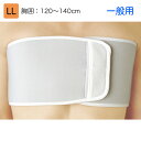 日本シグマックス 胸部固定帯 リブバンド 一般用 規格:LL 適用範囲(胸囲):120〜140cm 品番:313004 胸部サポーター コルセット