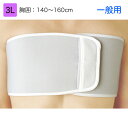 日本シグマックス 胸部固定帯 リブバンド 一般用 規格:3L 適用範囲(胸囲):140〜160cm 品番:313005 胸部サポーター コルセット