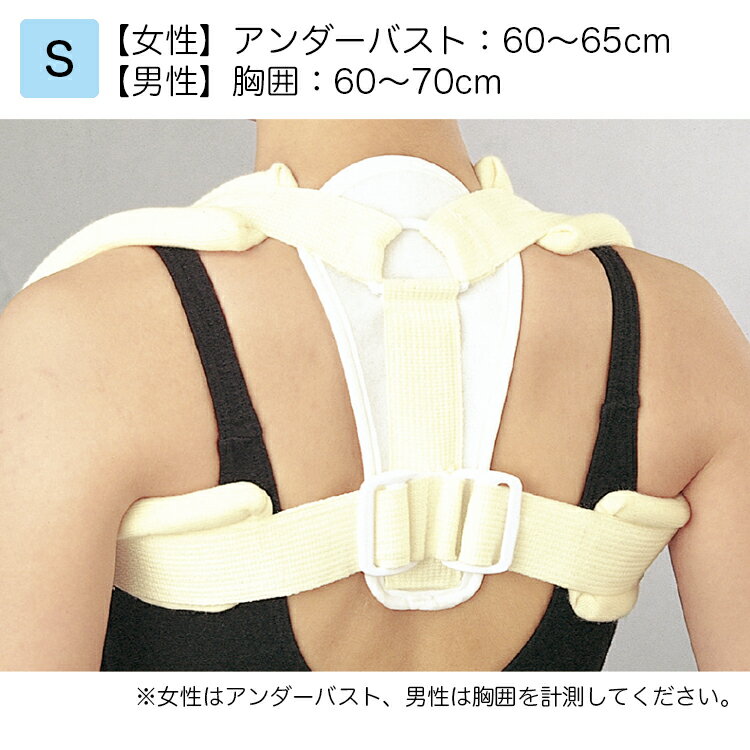 日本シグマックス 鎖骨固定帯 クラビクルブレース 規格：S 品番：15603