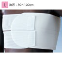 日本衛材 胸部固定帯 ニューバストタイ ダブル 規格:L 適用範囲(胸囲):80〜100cm 品番:NE-617 胸部サポーター コルセット