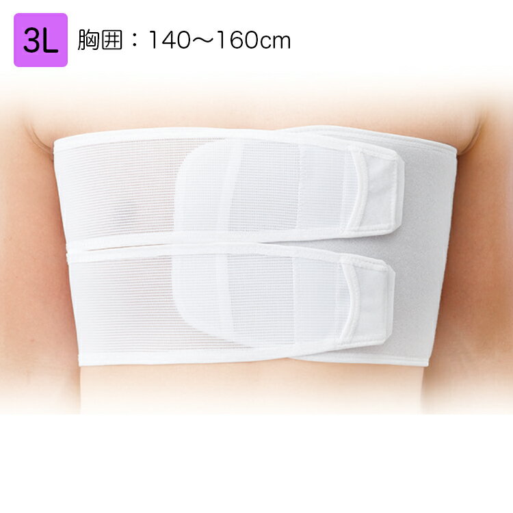 日本シグマックス 胸部固定帯 リブバンドフィット 規格:3L 適用範囲(胸囲):140〜160cm 品番:313405 胸部サポーター コルセット