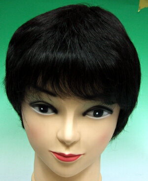 ショ-ト人毛100%かつら 発毛促進セットとwig capをプレゼント致します 【かつら】【かつら 女性用】【人毛】【人毛 ウィッグ】【医療用ウイッグ】【医療用かつら】【医療用対応ウイッグ】【医療用対応かつら】【ショートかつら】【フルウイッグ】