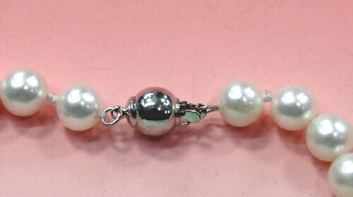 �ܿ���ͥå��쥹