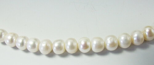 �ܿ���ͥå��쥹