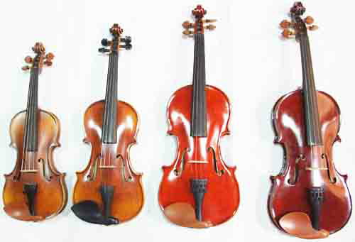 �Х������