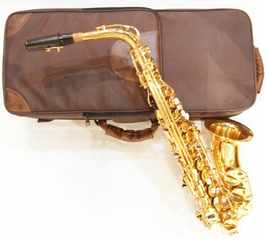 bz SAX XG ���å���