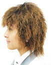 人毛100%ウィッグ 発毛促進セットとwig capをプレゼント致します 【フルウイッグ】【かつら】【かつら 女性用】【人毛】【人毛 ウィッグ】【医療用ウイッグ...