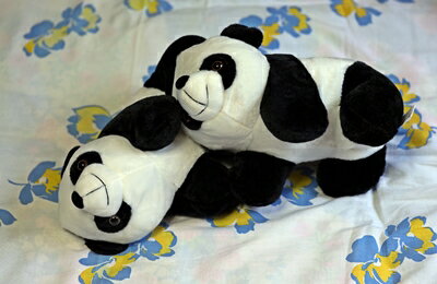 樂天商城 - 可愛い パンダ　ぬいぐるみ、双子