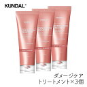 クンダル ダメージケア トリートメント 250ml 3個 ボンディングトリートメント バイオレットミュゲ 香り サラサラ なめらか サロン帰り