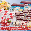 ハーゲンダッツ 苺アイス アイス アイスクリーム いちご AH-HGRW 詰め合せ 詰め合わせ セット スイーツ ギフト かわいい バニラ クッキー スイーツ ...