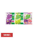 ララクラッシュ 24g×8個入 ララクラッシュ ゼリー 蒟蒻畑 アソート 食物繊維 ヘルシー おやつ 果物 マンナンライフ 食感 特定保健用食品 マンナンライフ 蒟蒻畑_ぶどう味 蒟蒻畑_マスカット味 アソート/グレープ&ピーチ味