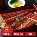 【4尾】特大鰻(約200g/尾) うなぎ かば焼き 国産 鰻蒲焼 冷凍 800g 目利き 厳選 大阪中央卸売市場 土用 Tokka 【TD】 【代引不可】