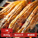 【3尾】頑固おやじのこだわり鰻 うなぎ かば焼き 国産 鰻蒲焼 冷凍 600g 愛知県 厳選 愛知県産 土用 Tokka 【TD】 【代引不可】