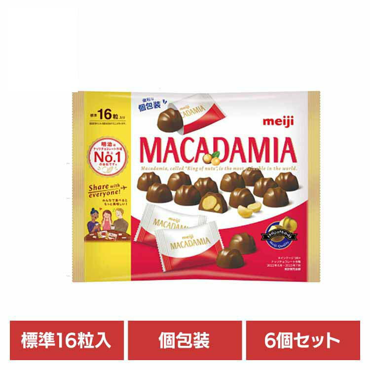 【6個】マカダミアチョコレート ビッグパック 16粒入 meiji お菓子 チョコ マカダミア ビッグ 大容量 個包装 トラディショナル 手軽 おやつ シェア 明治