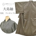 アンサンブル 男性 着物 羽織 大島紬 正絹 美品 未使用品 リサイクル着物 お正月 メンズ 裄68.5cm 身丈151.5cm LL 茶色系 亀甲絣文様 特選...