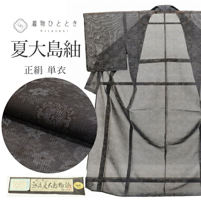 【中古】 大島紬 越後夏大島紬 正絹 仕立て上がり 夏物 夏着物 身丈166.5cm Lサイズ 裄68cm 黒色系 花文様 証紙有 つむぎ tt0976b [ 和服 カジュアル着物 アウトレット レトロ アンティーク プチプラ お洒落 普段着 お稽古 アウトレット きもの ]のサムネイル