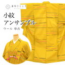 リサイクル着物 着物 羽織 アンサンブル 女性 小紋 身丈154.5cm S 裄丈64cm ウール 茶色系 霞文様 羽織紐付き レディース tt2189b 【中...