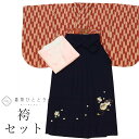 【中古】 二尺袖 袴 セット 化繊 身丈166cm LL 裄66.8cm 仕立て上がり リサイクル着物 小振袖 茶色系 矢絣文様 半幅帯 長襦袢付き 刺繍 袴下...