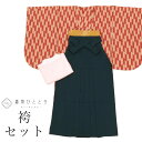 【中古】 二尺袖 袴 セット 化繊 身丈166.5cm LL 裄67.5cm 仕立て上がり リサイクル着物 茶色系 矢絣文様 長襦袢 半幅帯付き 袴下帯 卒業式...