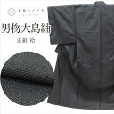 【中古】 リサイクル 大島紬 男性 袷 正絹 身丈143cm M 裄68.5cm 美品 未使用品 仕立て上がり 紺色系 亀甲文様 メンズ 男物 uu0768b