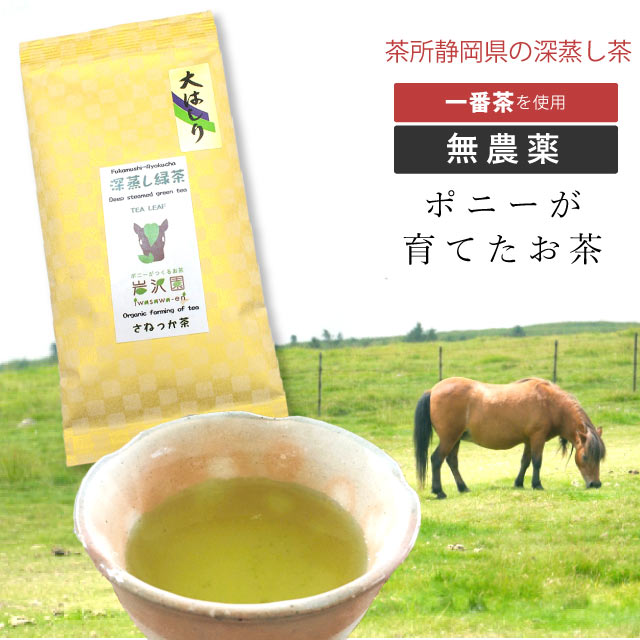 深蒸し茶 一番茶 大はしり 煎茶 緑