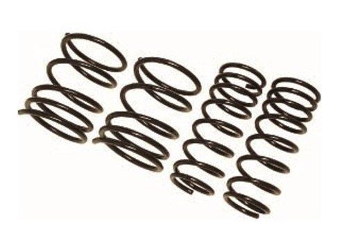 レーシング ギア (RACING GEAR) ダウンスプリング 【ローフォルム・レボリューション】 bB NCP30 ST020B ST020B