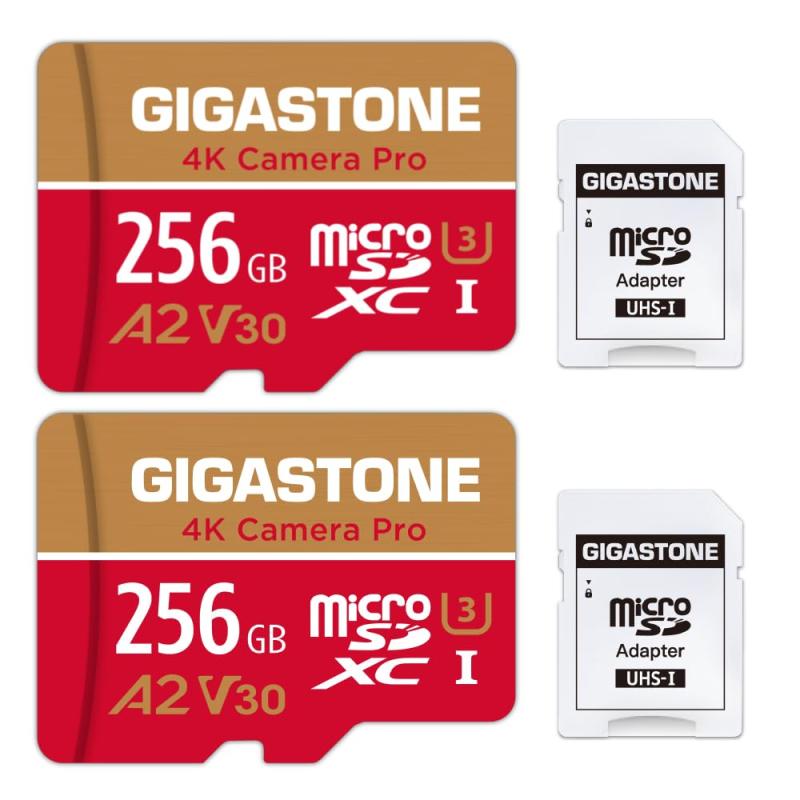 GIGASTONE マイクロsdカード 32-4-5 Core Group