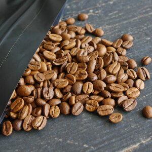 コーヒー 豆 インドモンスーン 100g スペシャルティコーヒー アロマパック詰め 珈琲 焙煎 お試し
