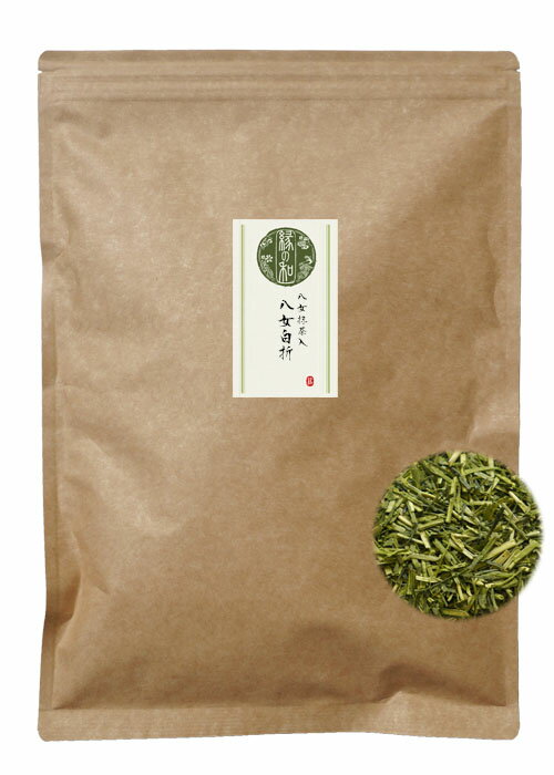 日本茶 茶葉 八女抹茶入八女白折 400g 業務用サイズ 茎茶 メール便 送料無料 お茶